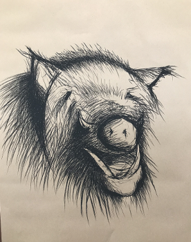 https://www.davidpatrickdennis.com/files/gimgs/th-7_boar.png