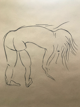 https://www.davidpatrickdennis.com/files/gimgs/th-7_trip.png